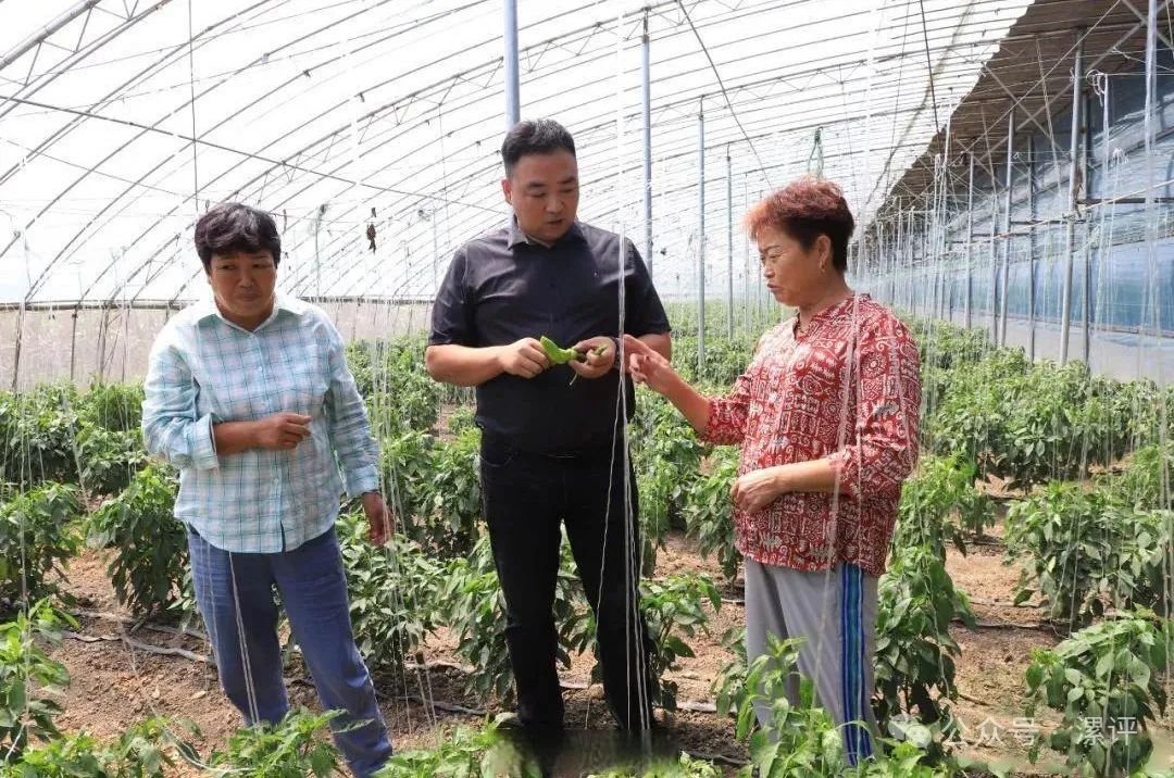 球盟会官方网站
